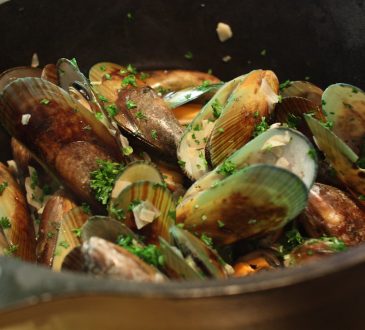 Groenlipmossel kopen