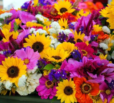 Bloemen