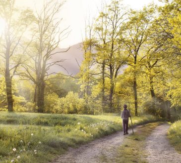 Waarom Lowa Wandelschoenen een slimme keuze zijn voor elke wandelaar