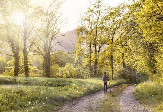 Waarom Lowa Wandelschoenen een slimme keuze zijn voor elke wandelaar